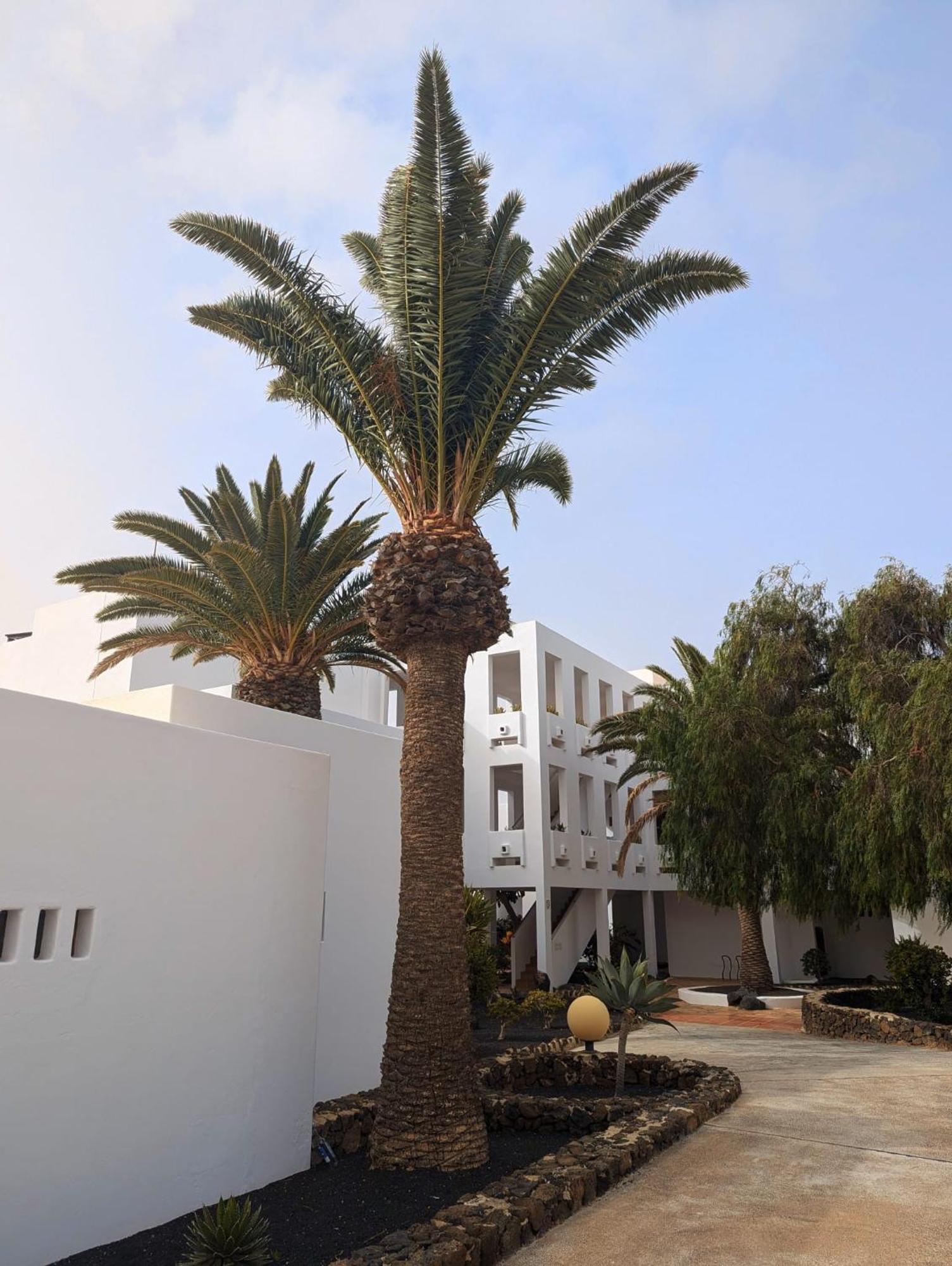 Charming Flat In Los Molinos With Terrace & Pools, Near Playa Bastian Costa Teguise Exterior photo